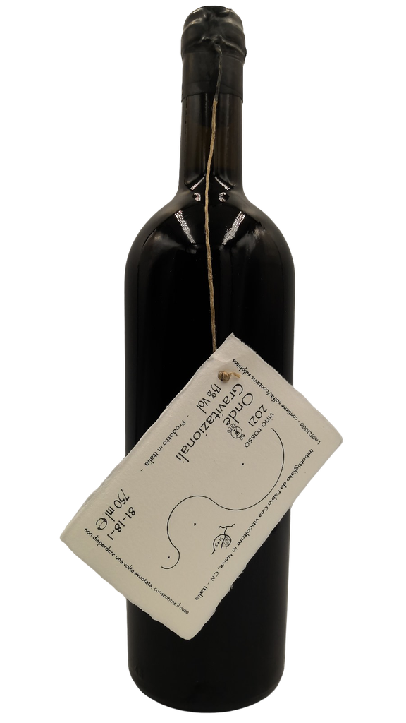 Onde Gravitazionali 81/18/1 2021