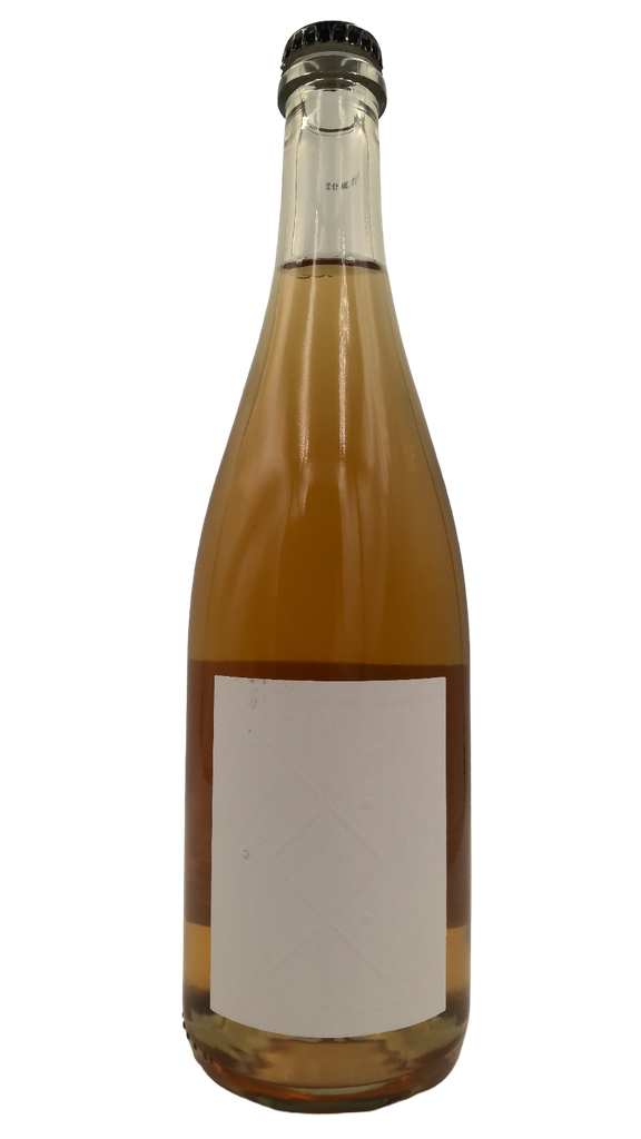 Fanti - Disko Pino 2020