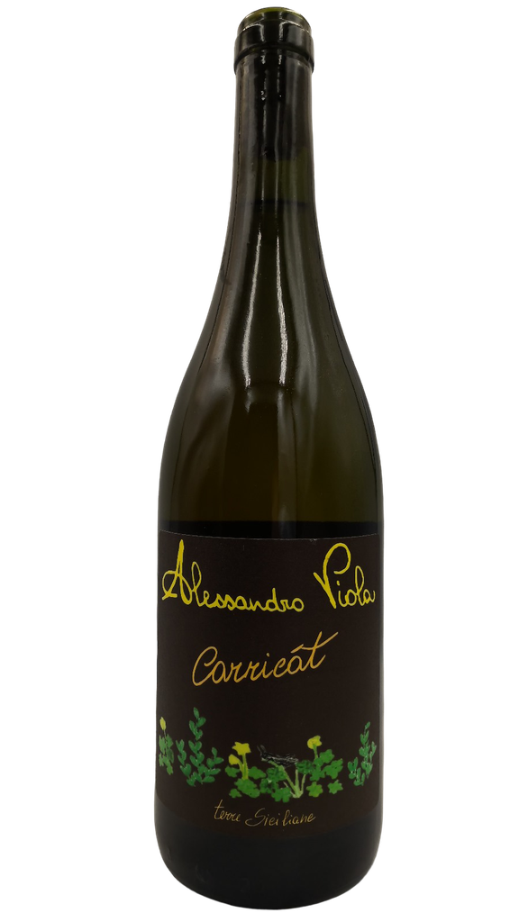 Viola Alessandro - Carricat 2023