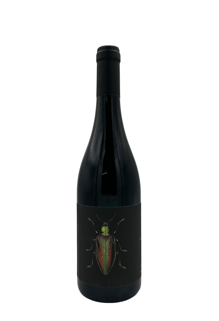 Ledogar - Les Brunelles 2025