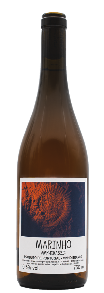 Luis Gil - Marinho 'Amphorassic' 2021