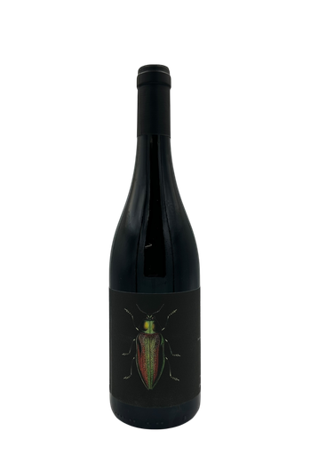 [LEDOGAR] Ledogar - Les Brunelles 2023