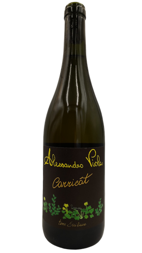 [ALLESANDRO VIOLA] Viola Alessandro - Carricat 2024